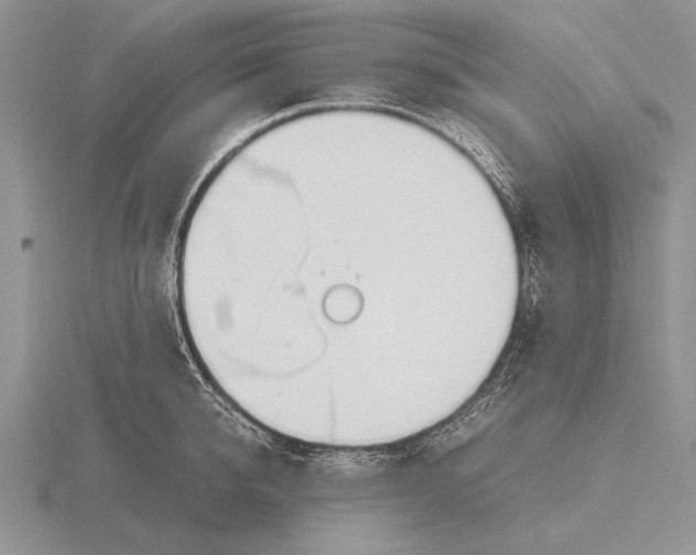 X0000115760950200912111043