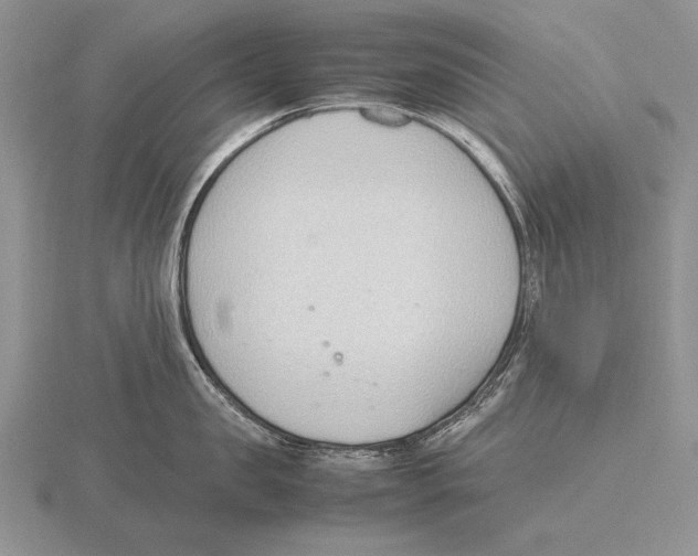 X0000115760957200912111043