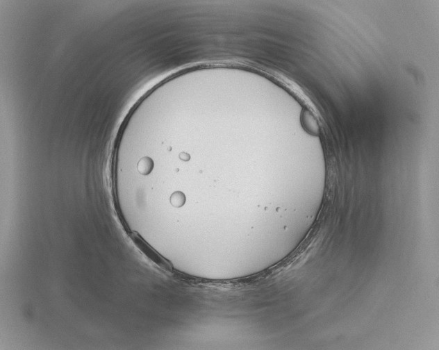 X0000115760959200912111043