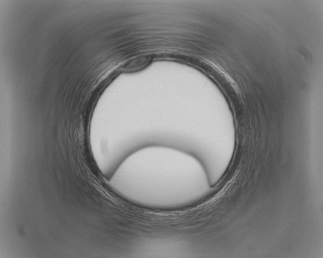 X0000115760969200912111042