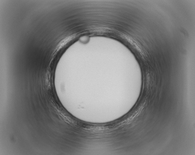 X0000115760970200912111042