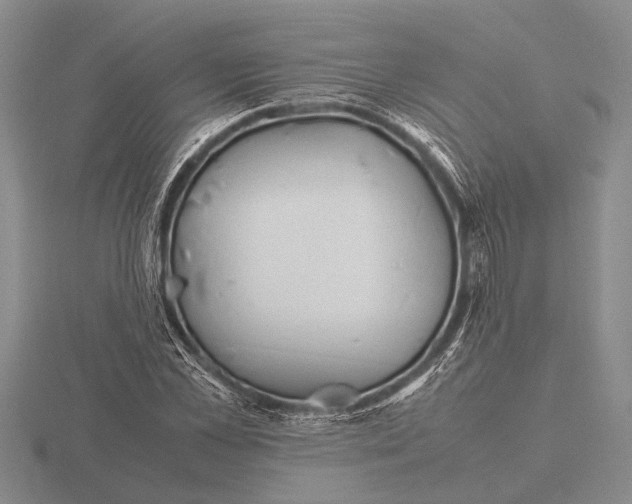 X0000115760973200912111042