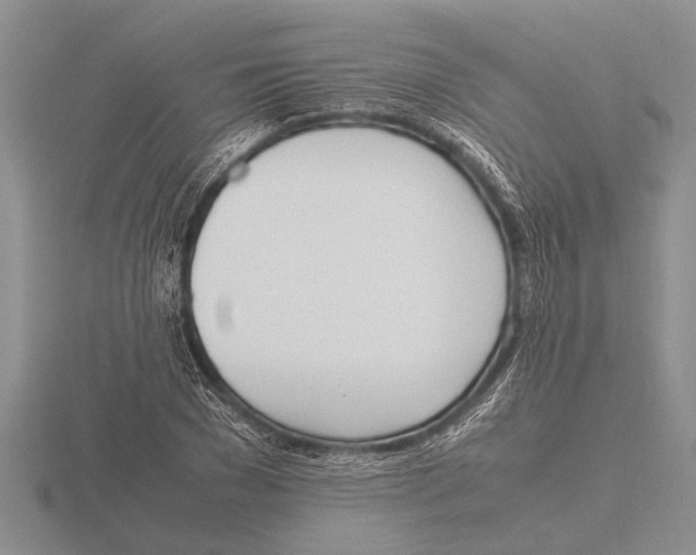 X0000115760977200912111042