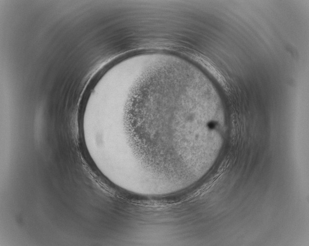 X0000115760980200912111042