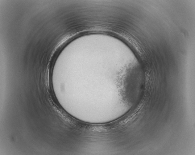 X0000115760982200912111042