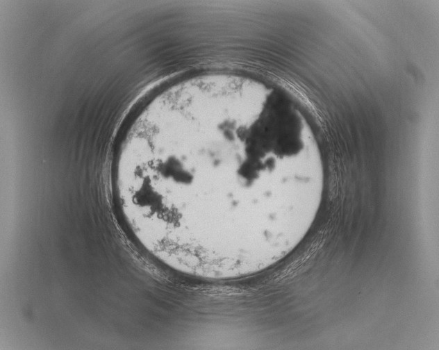 X0000115760984200912111042