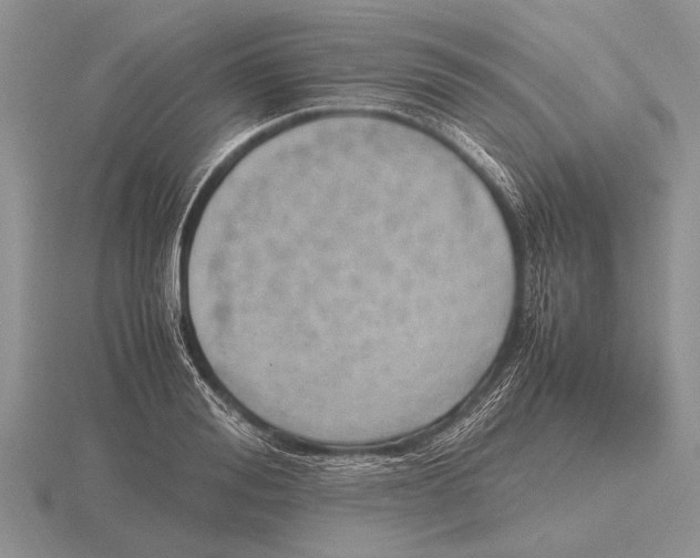 X0000115760988200912111042