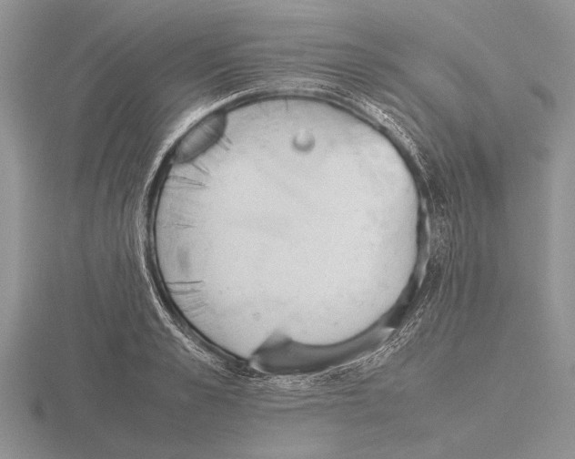 X0000115760989200912111042