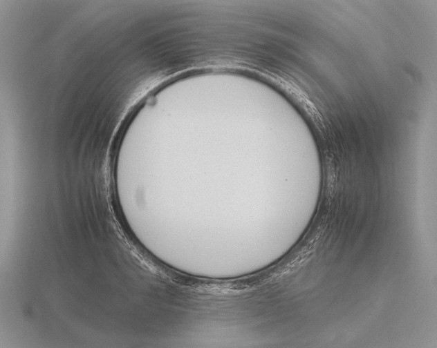 X0000115760990200912111042