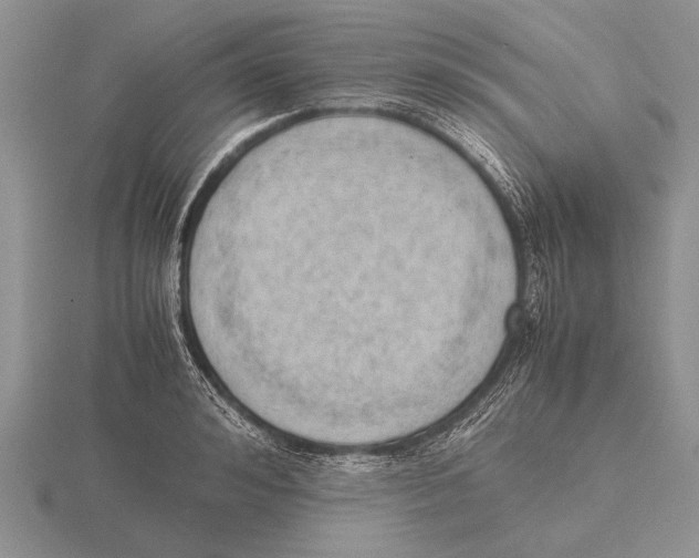 X0000115760992200912111042