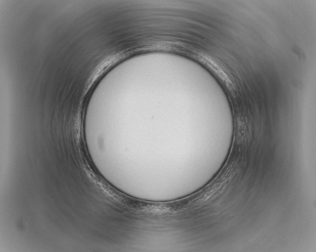 X0000115760994200912111042