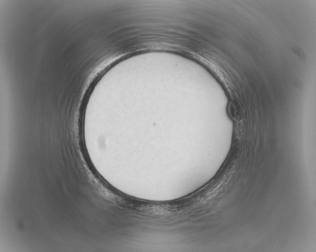 X0000115760995200912111042