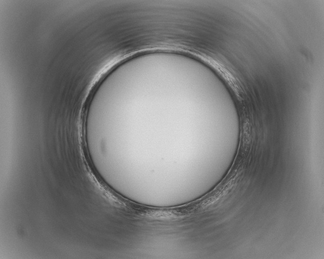 X0000115760998200912111042