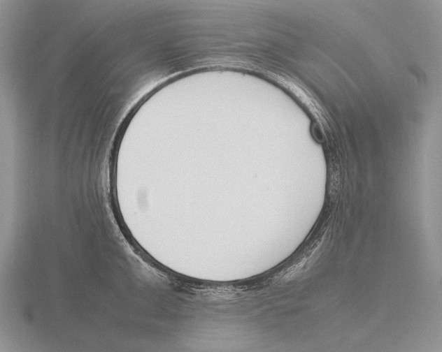 X0000115760999200912111042