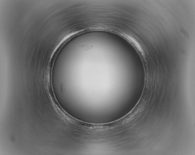 X0000115761000200912111042