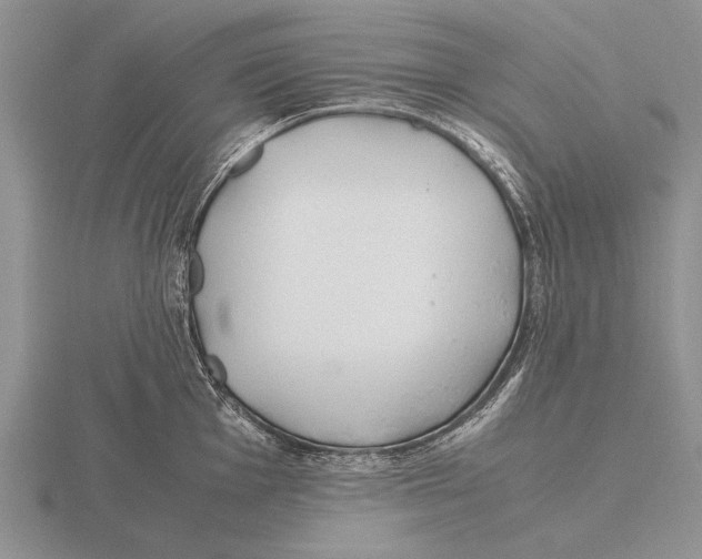 X0000115761001200912111042