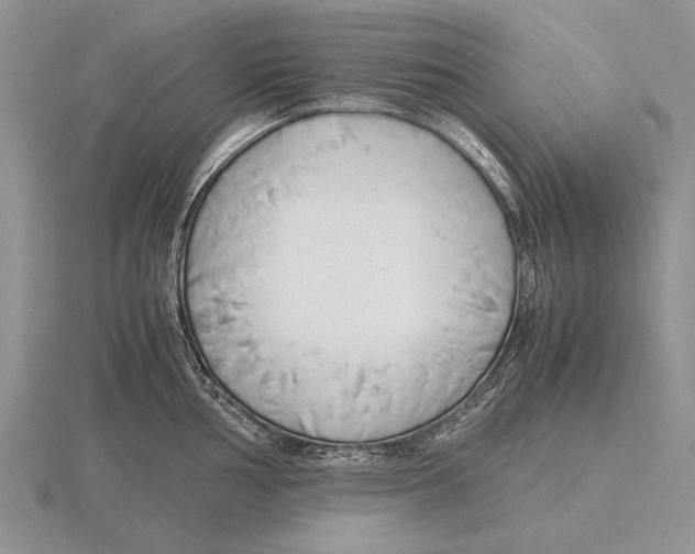 X0000115761002200912111042