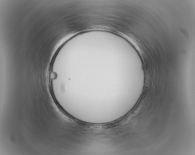 X0000115761003200912111042