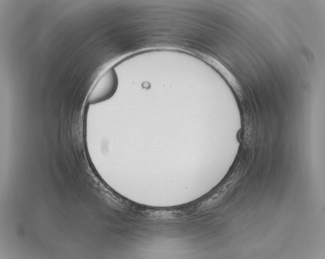 X0000115761004200912111042