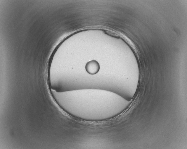 X0000115761005200912111042