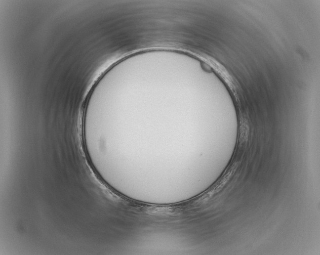 X0000115761006200912111042