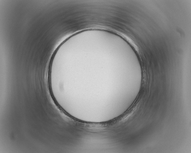 X0000115761007200912111042