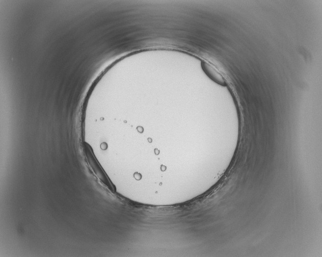 X0000115761008200912111042