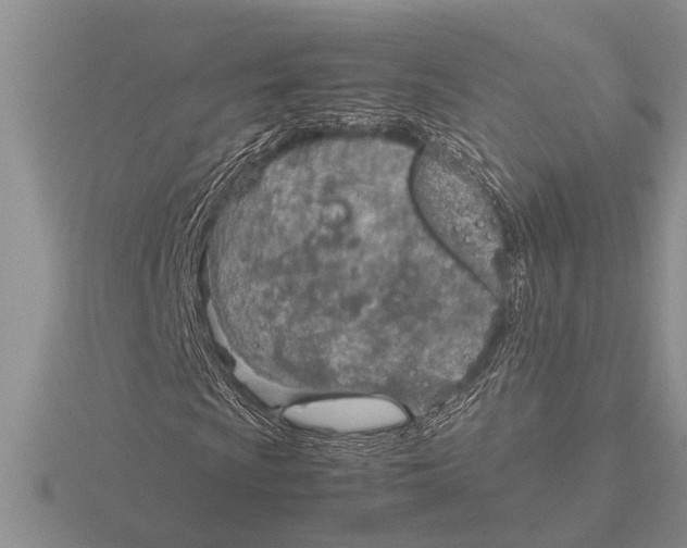 X0000115761009200912111041