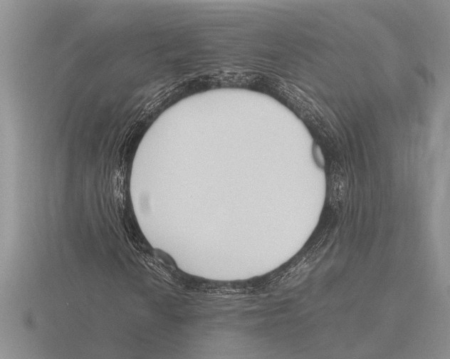 X0000115761010200912111041