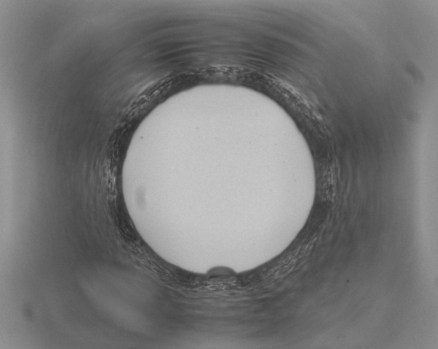 X0000115761013200912111041