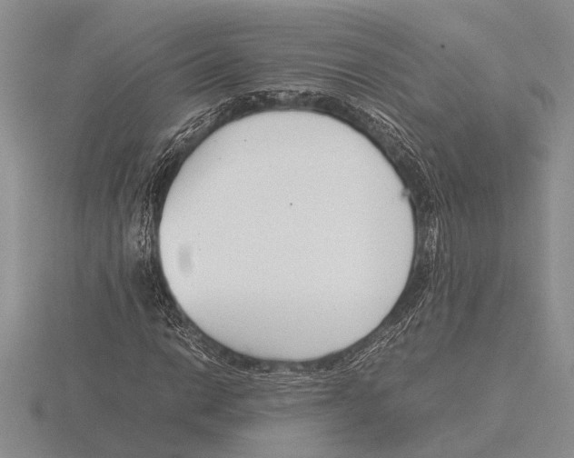 X0000115761014200912111041