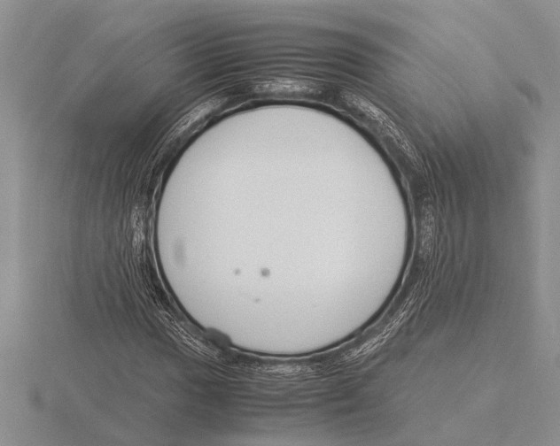 X0000115761017200912111041