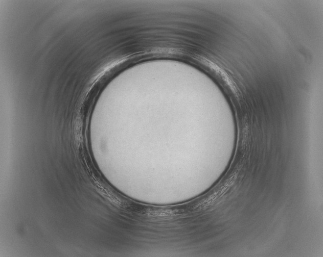 X0000115761019200912111041