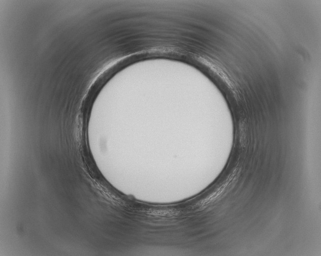 X0000115761021200912111041