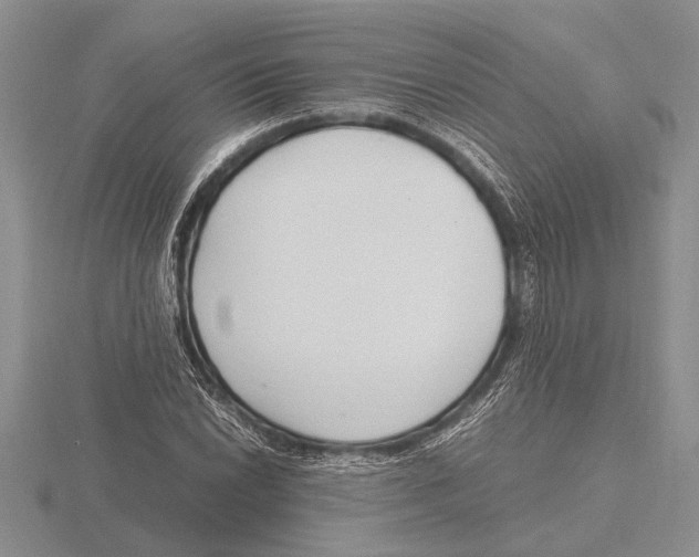 X0000115761022200912111041