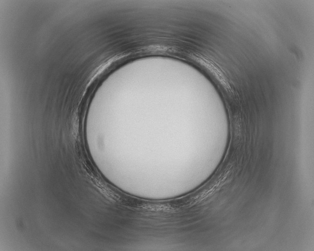 X0000115761023200912111041