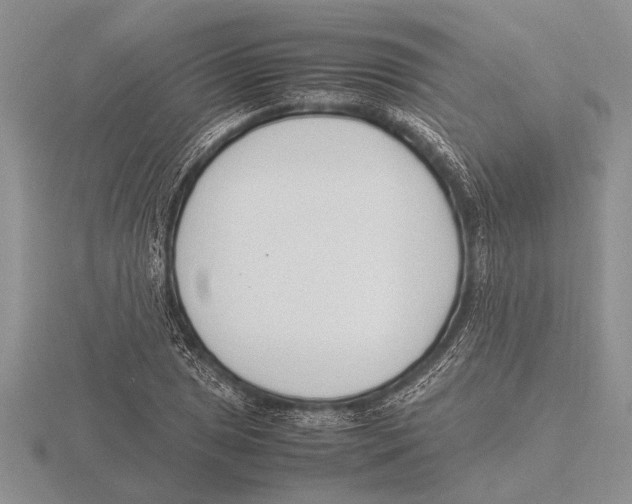 X0000115761025200912111041