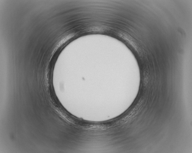 X0000115761026200912111041