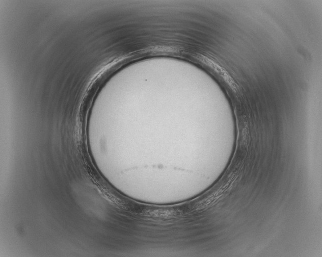 X0000115761027200912111041