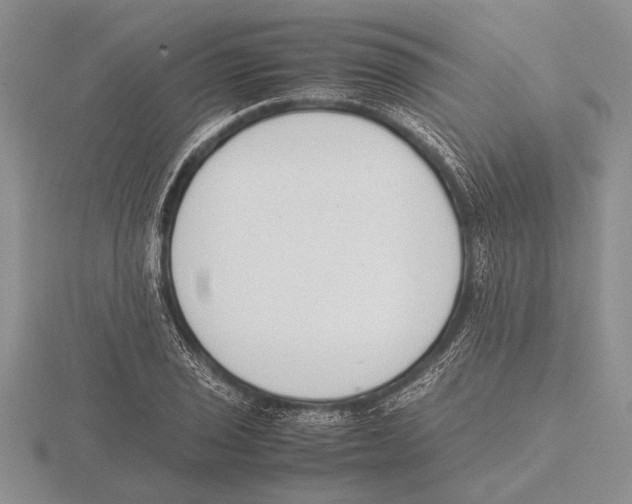 X0000115761029200912111041