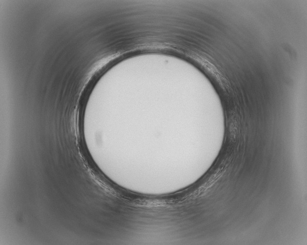 X0000115761030200912111041