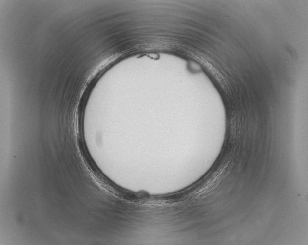 X0000115761034200912111041