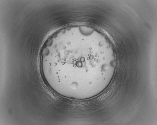 X0000115761035200912111041