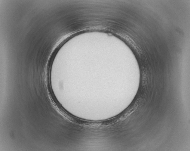 X0000115761038200912111041