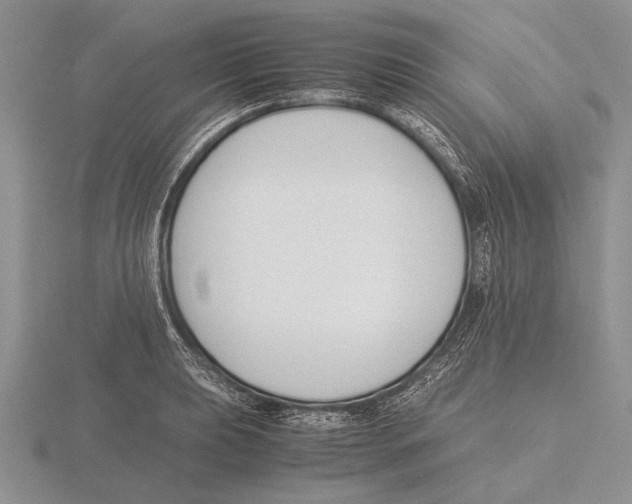 X0000115761039200912111041