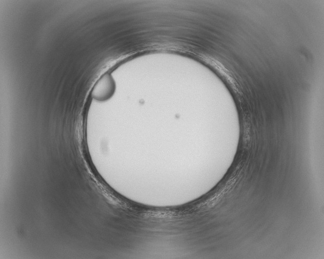 X0000115761040200912111041