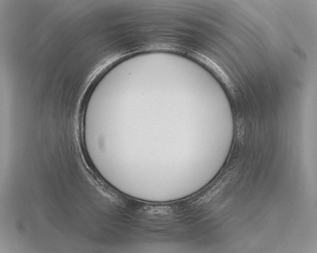 X0000115761043200912111041