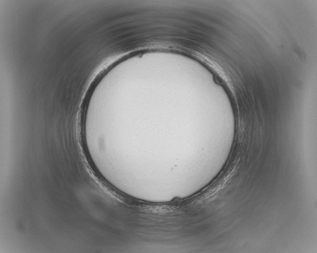 X0000115761045200912111041