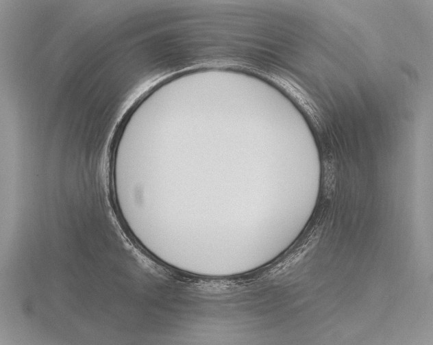 X0000115761046200912111041