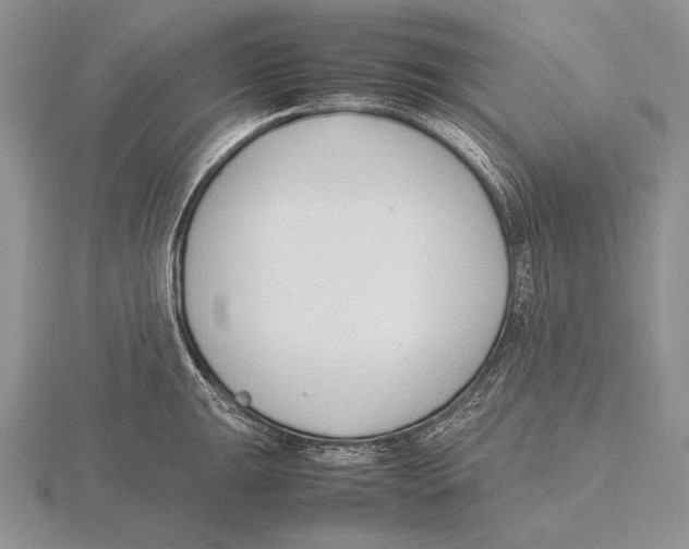 X0000115761047200912111041